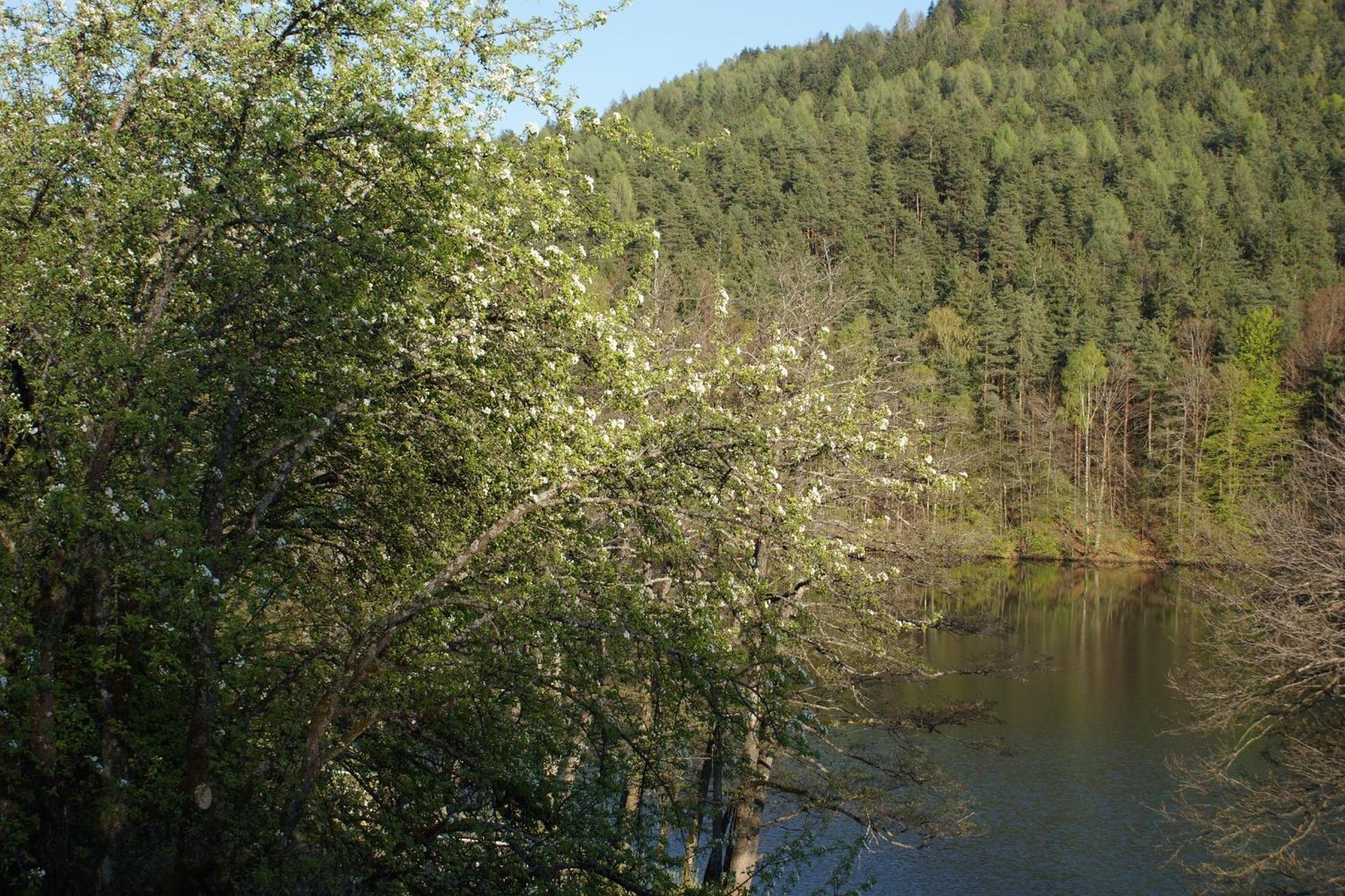 Landgasthof Trattnig Шифлинг-ам-Зее Стая снимка