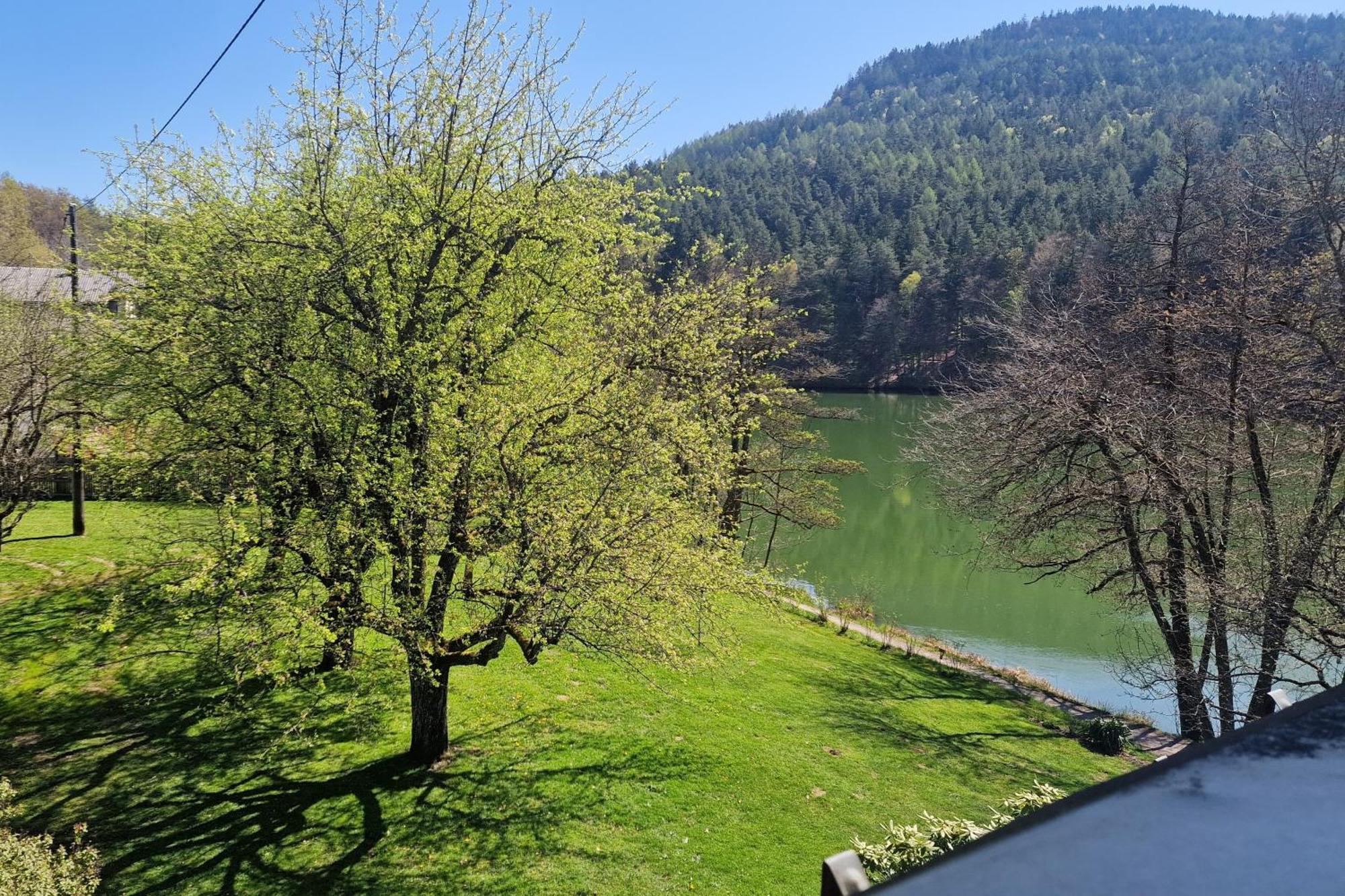 Landgasthof Trattnig Шифлинг-ам-Зее Екстериор снимка