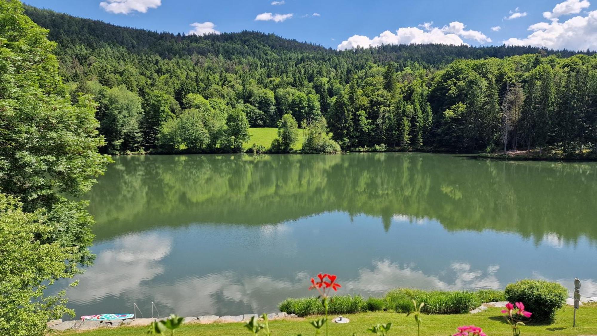 Landgasthof Trattnig Шифлинг-ам-Зее Стая снимка
