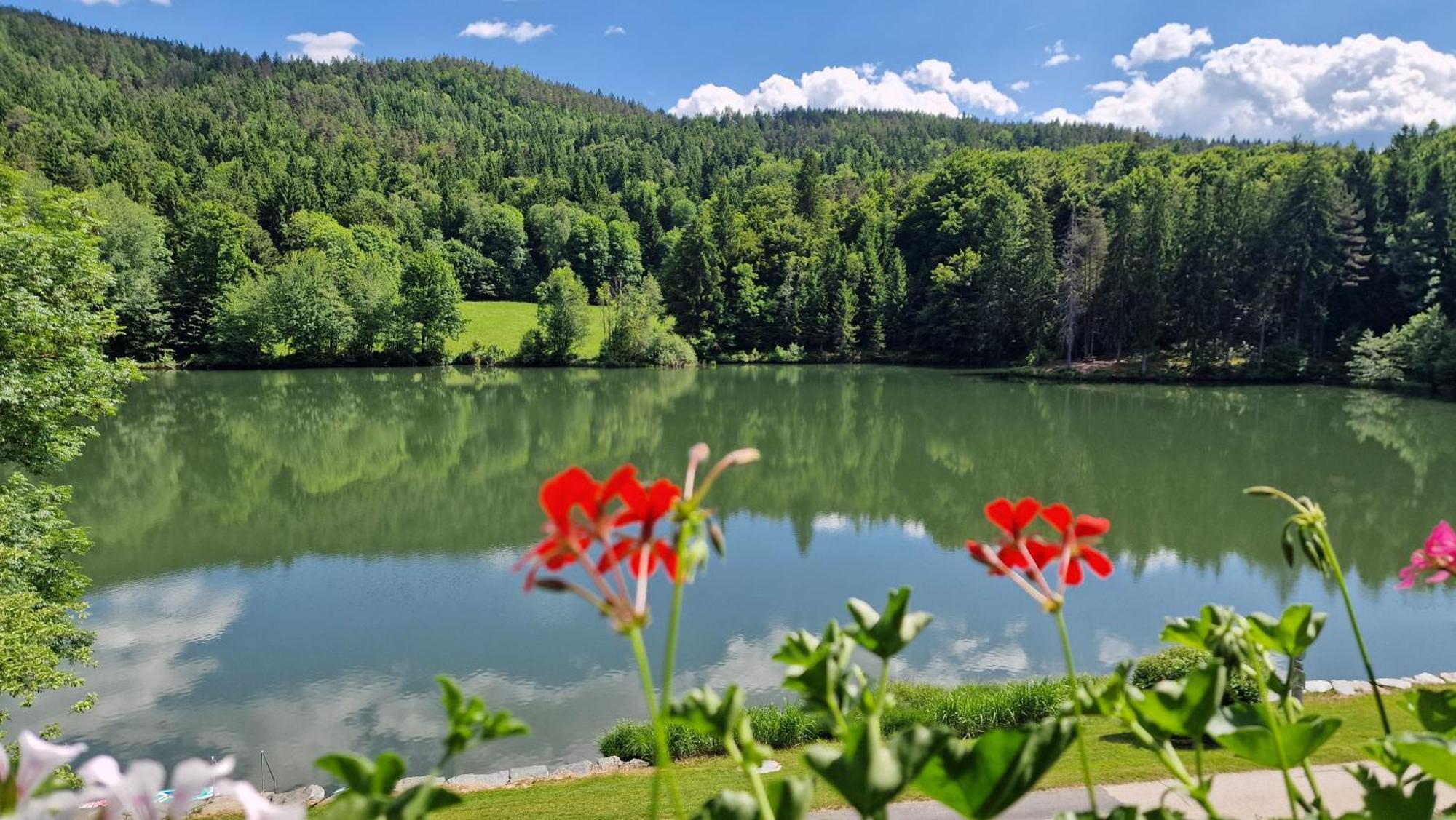 Landgasthof Trattnig Шифлинг-ам-Зее Стая снимка